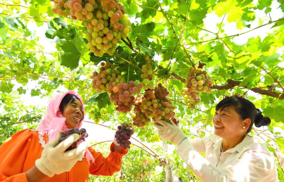 1756802714334053474.jpg ed018e26e03240c68735239cff316743.jpg