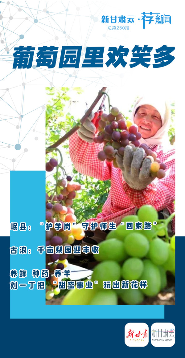 1756803620992010368.jpg 微信图片_20250902165924_副本.jpg