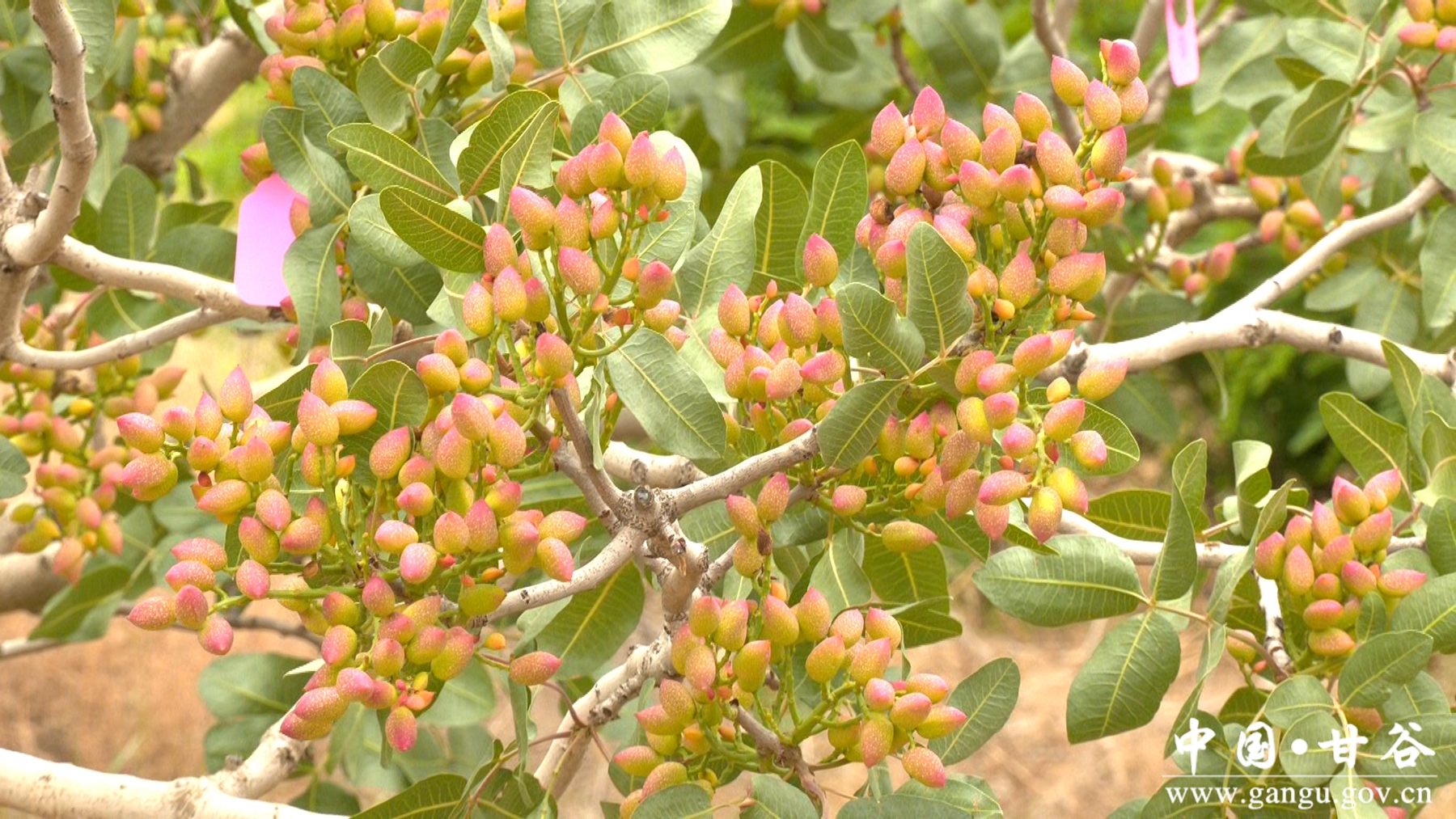 微信图片_20250904112502_26_148