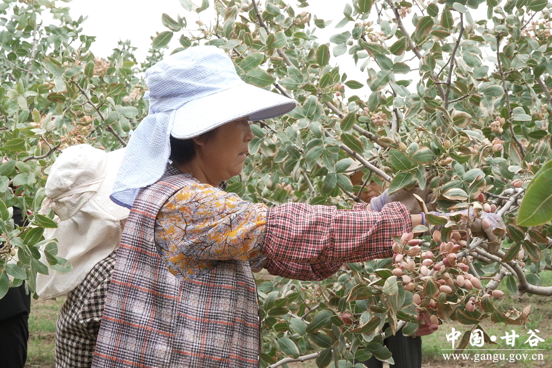 微信图片_20250904112457_23_148