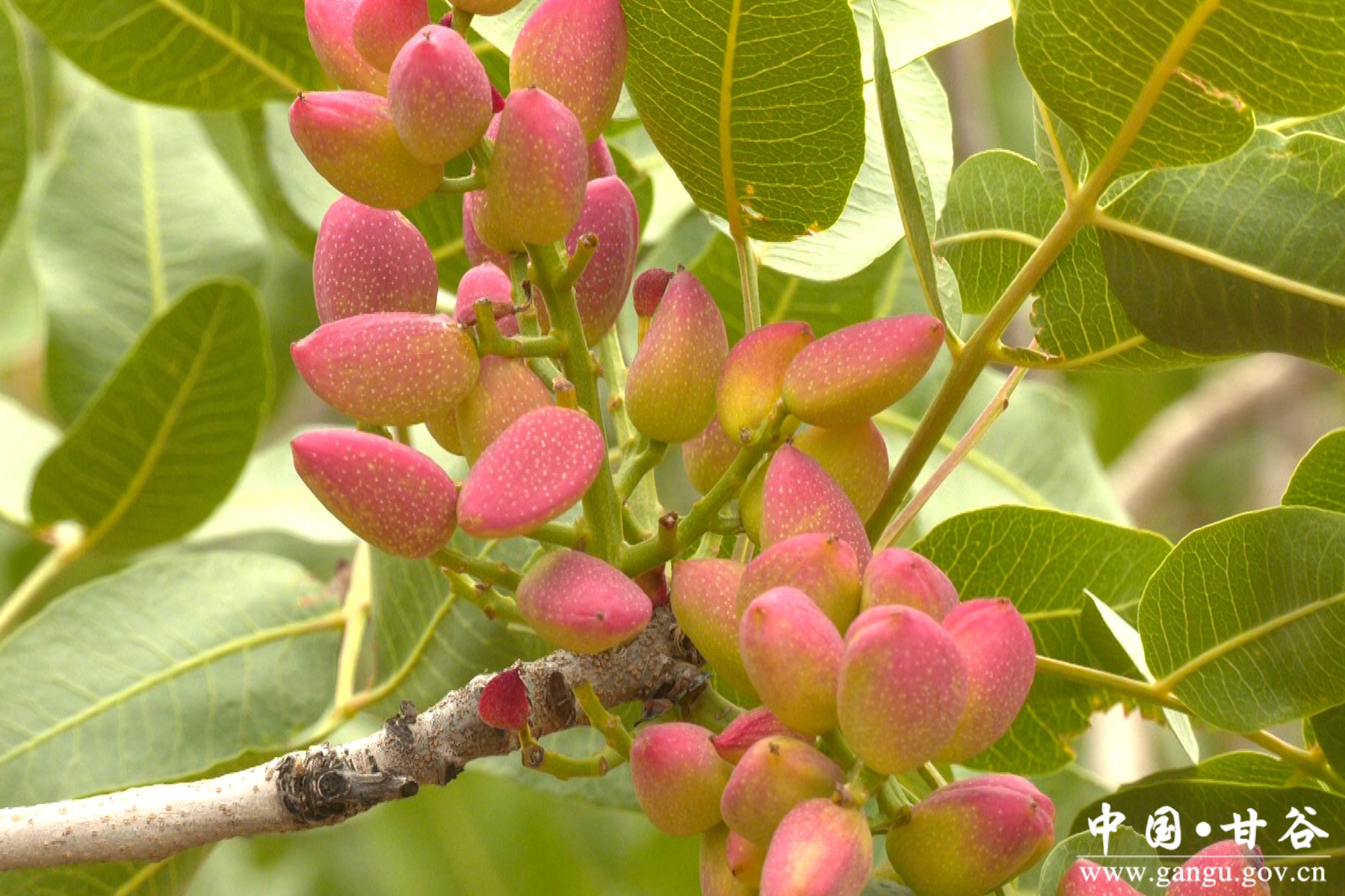 微信图片_20250904112450_19_148