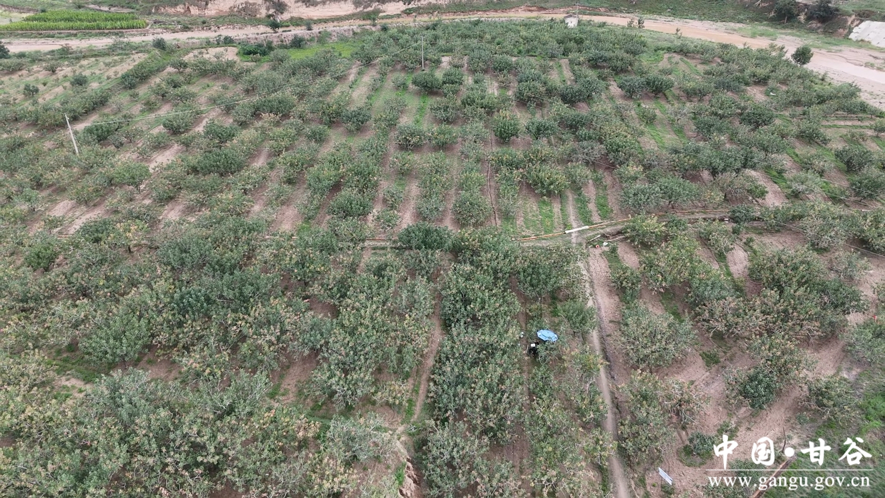 微信图片_20250904112500_25_148