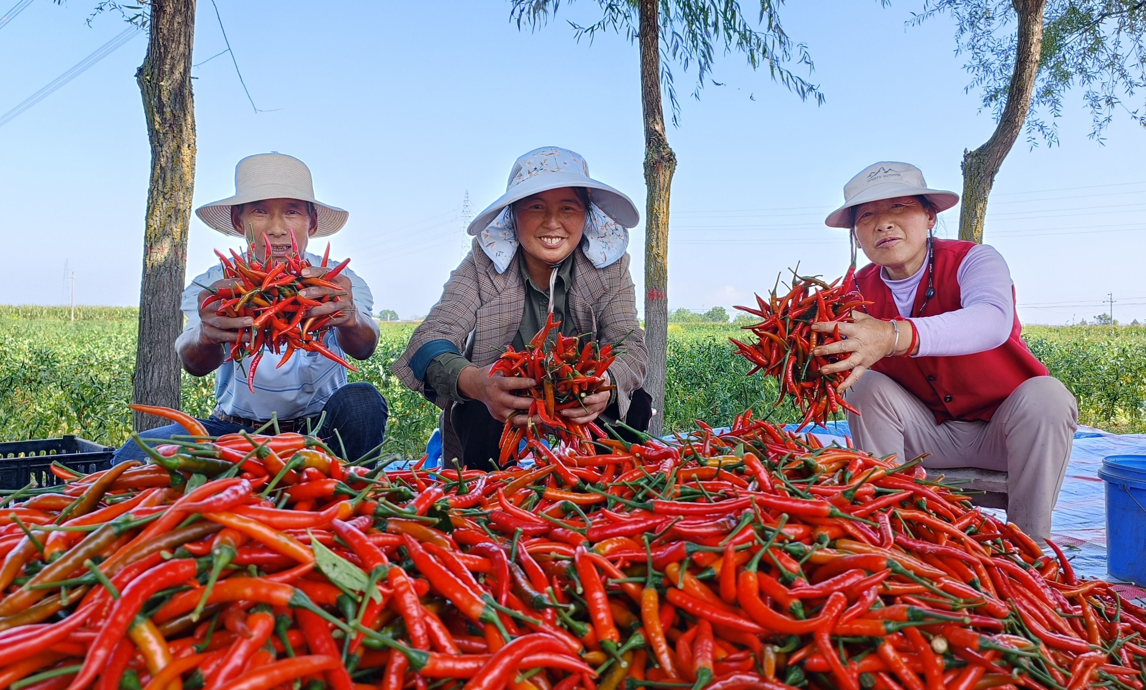 1757059047697080199.jpg 336bfd1fc88e46dcbb28aa4071cf829e.jpg