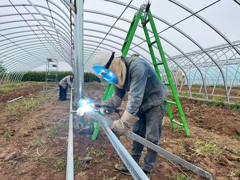 1757060981437072821.png affa3a579f674c69a6303ba9e3584e18_副本.png