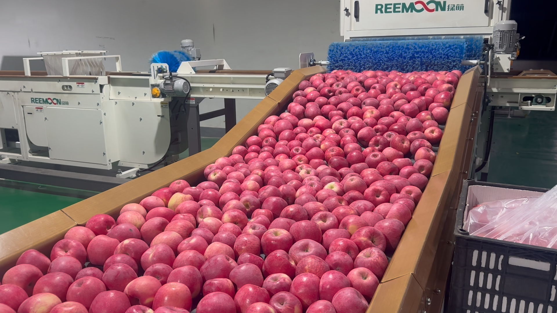 微信图片_20250908151239_117_136