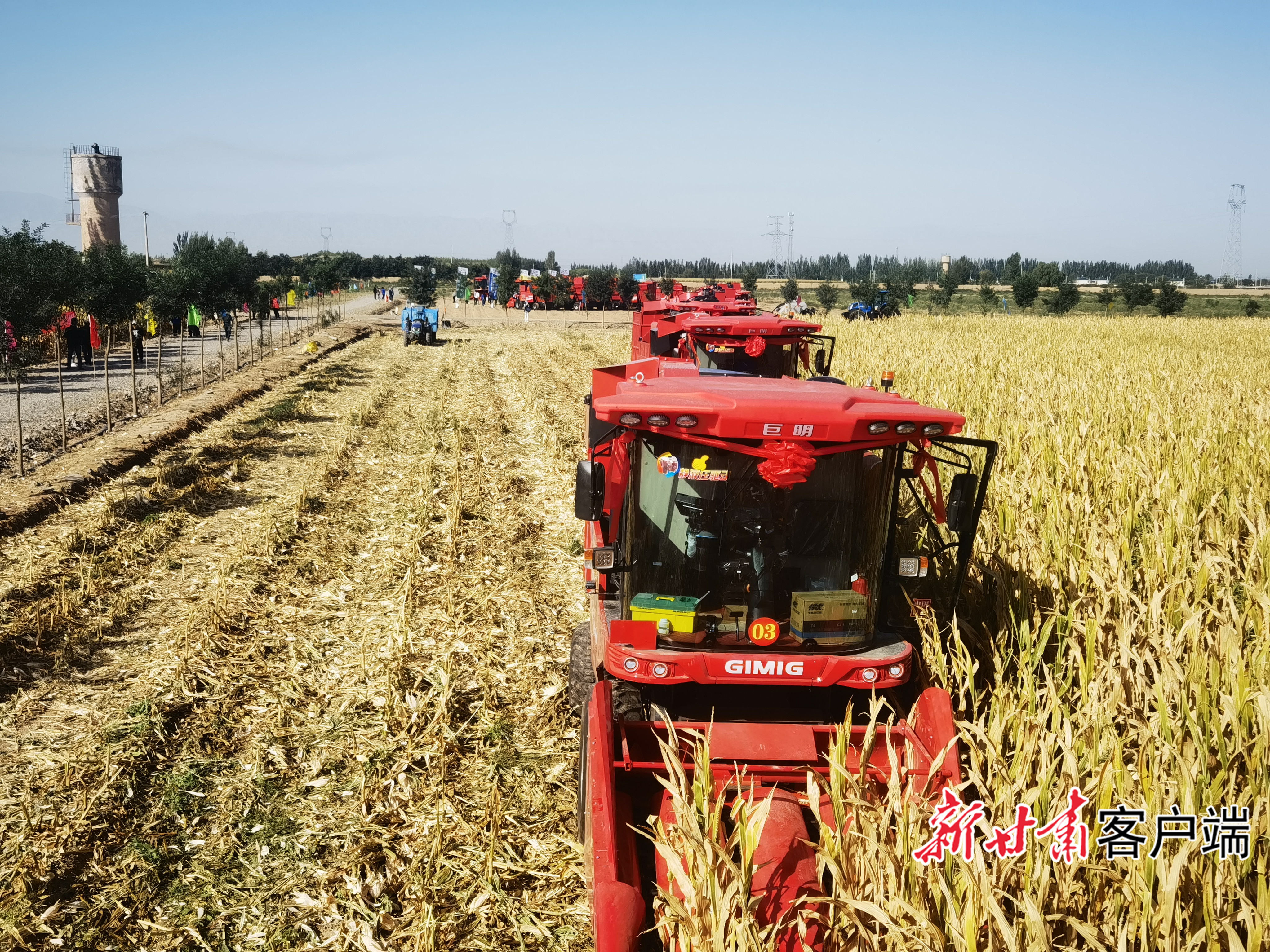 FZ007243490265_A5318416