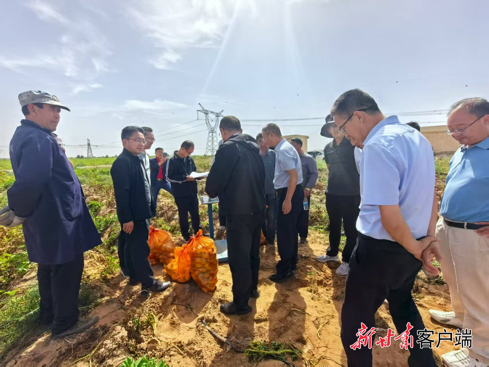 FZ007243559511_A5323140