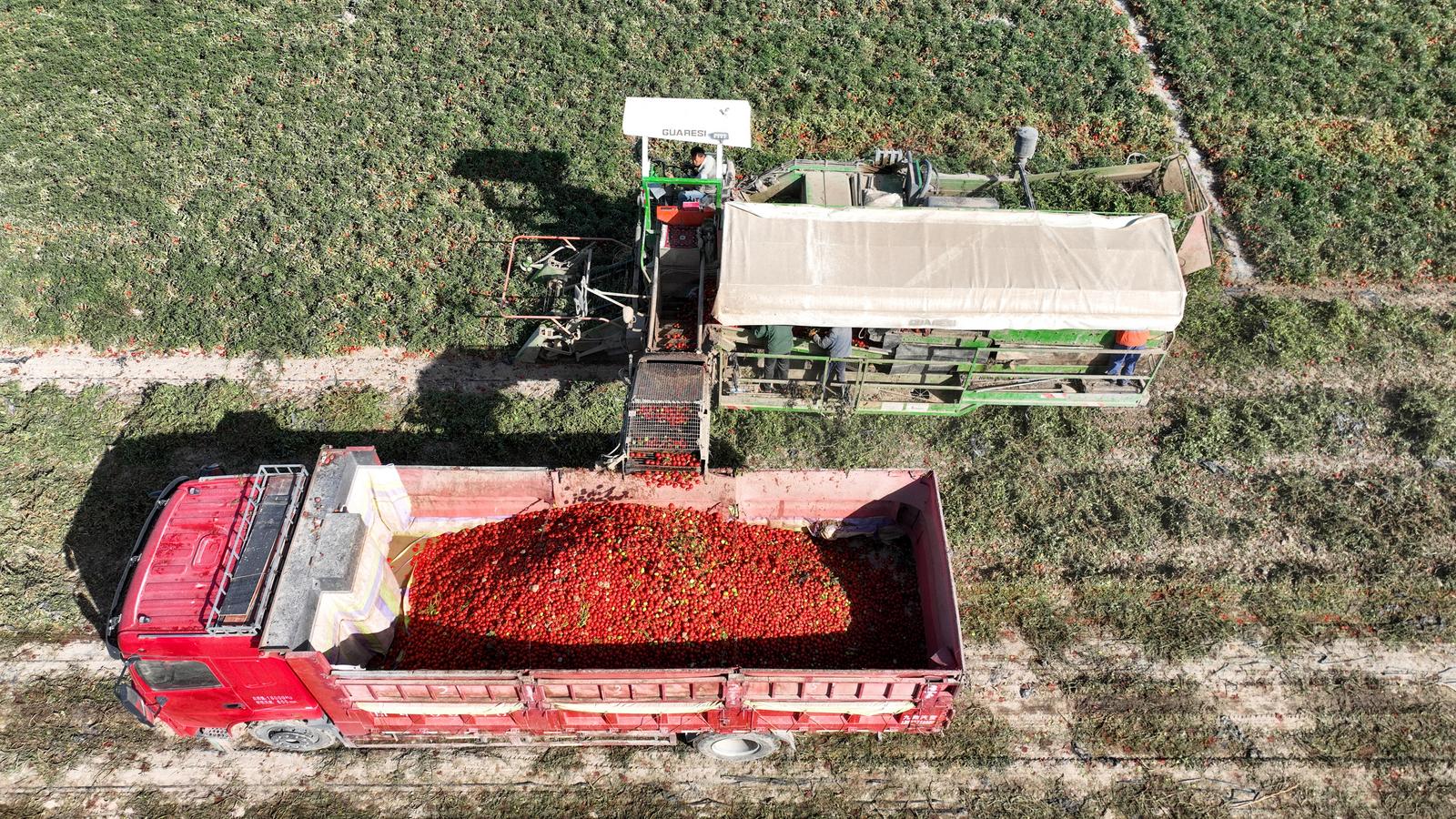 1757924921567071744.jpg b384fa83a7614079b5e04fd7ef3fb104.jpg