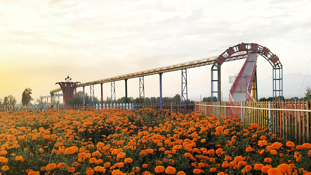 1757925674617041815.png 8ae00917e87c401f8c029e19cef89912_副本.png