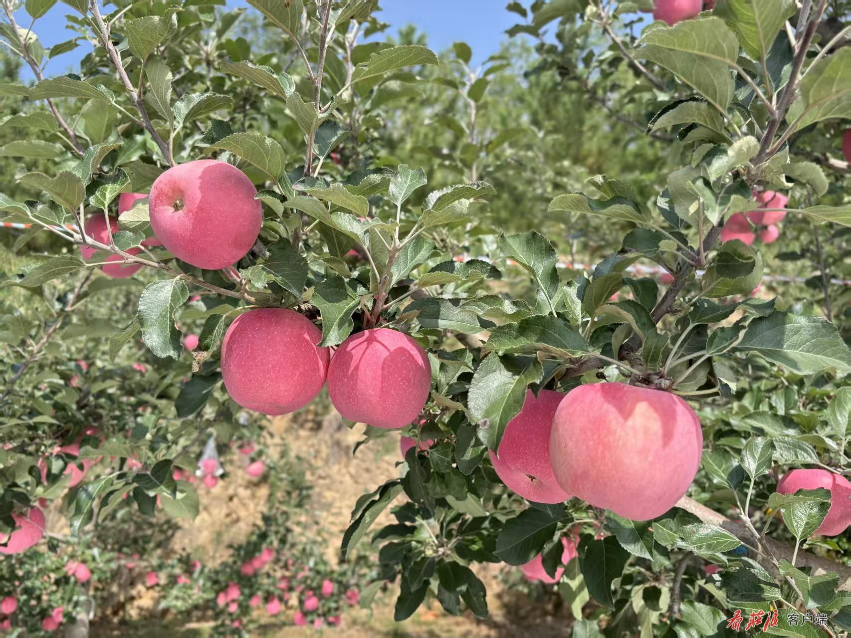 微信图片_20250930200445_12_25