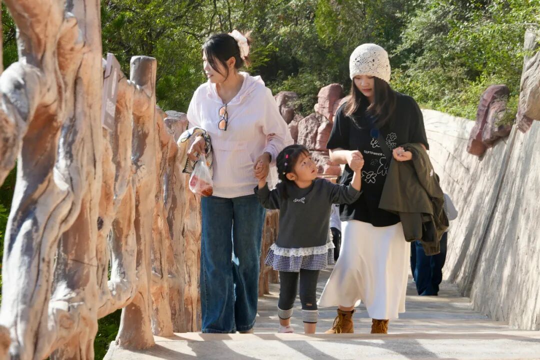 1759564907154061032.jpeg 1759553624515093858.jpeg