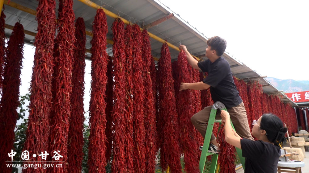 1759642694195069196.png 3e98efc2daa44170b8e69ce37dd44fee_副本.png