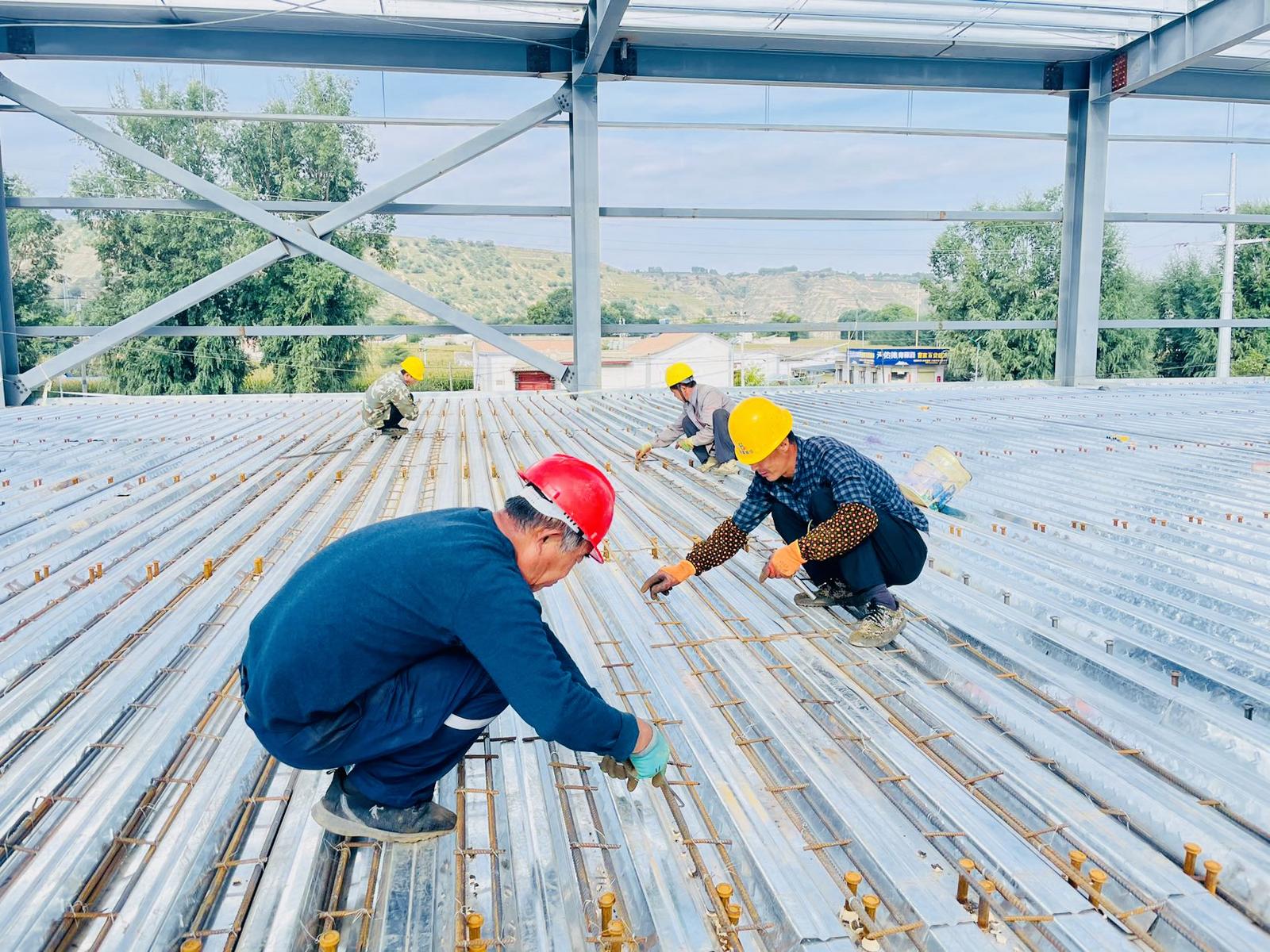 1759643441364038270.jpg 1759561426583019709.jpg