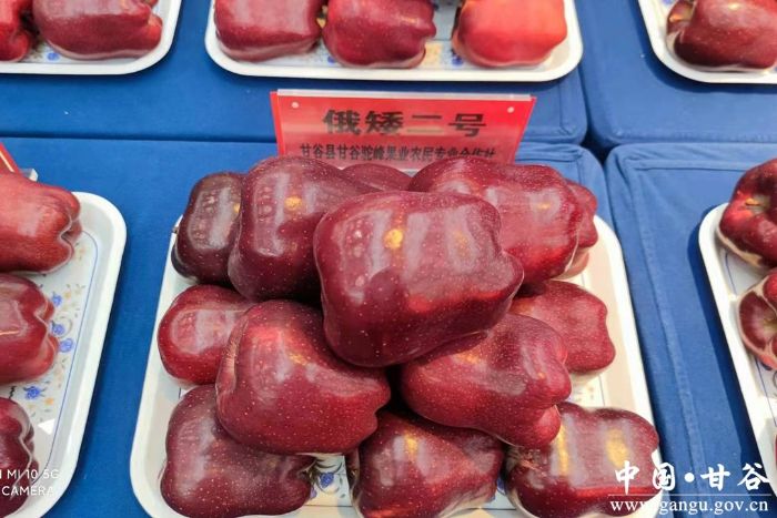 5ADEA6D7CA89461624059DDCB6D_C6321574_840EB