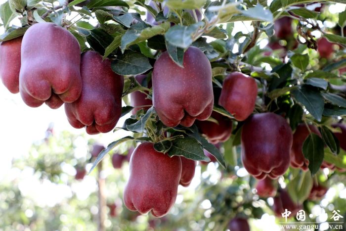 virtual_attach_file (7)