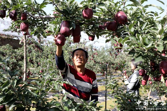 virtual_attach_file (6)