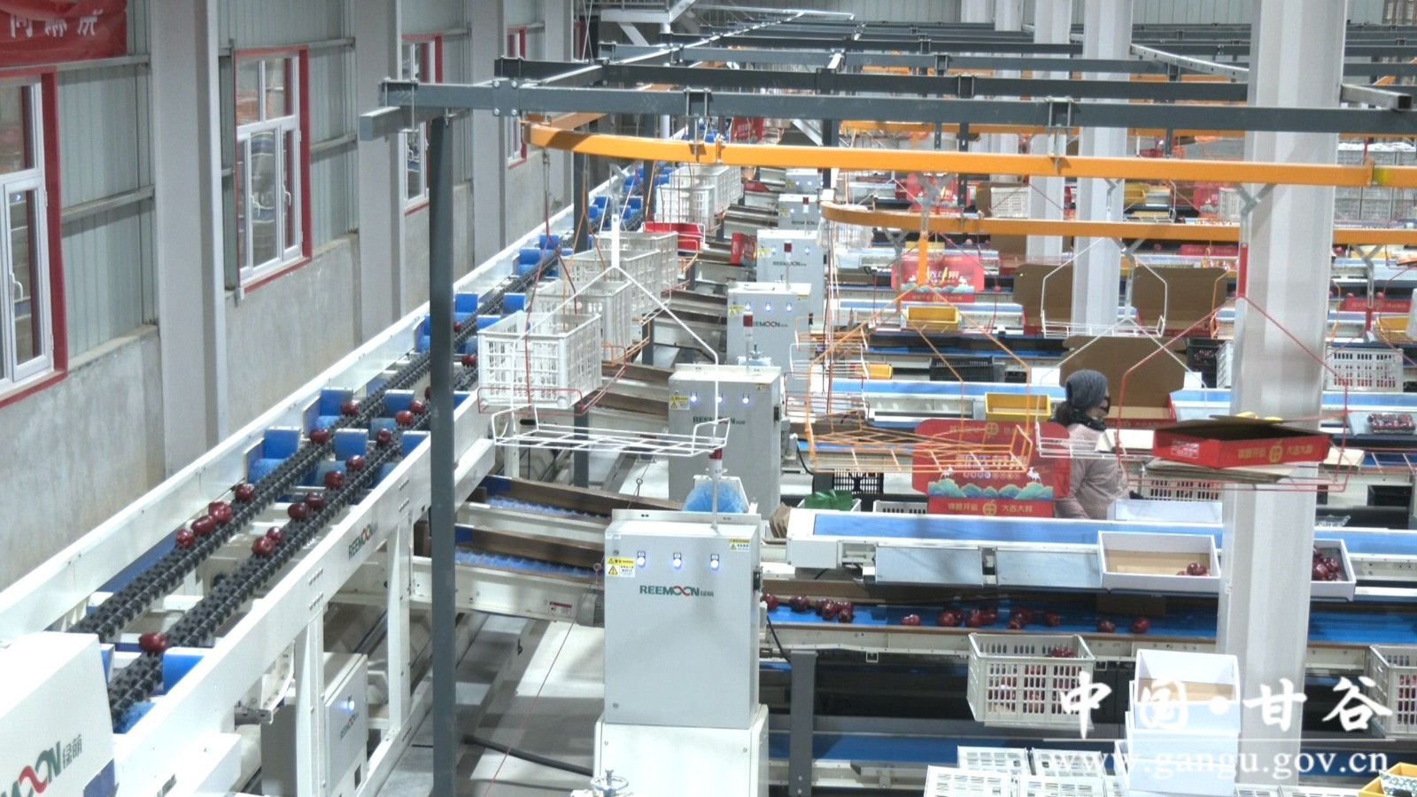 1760347268005086828.jpg 01d6c1df65654215b53fa33df7f4bd4d.jpg