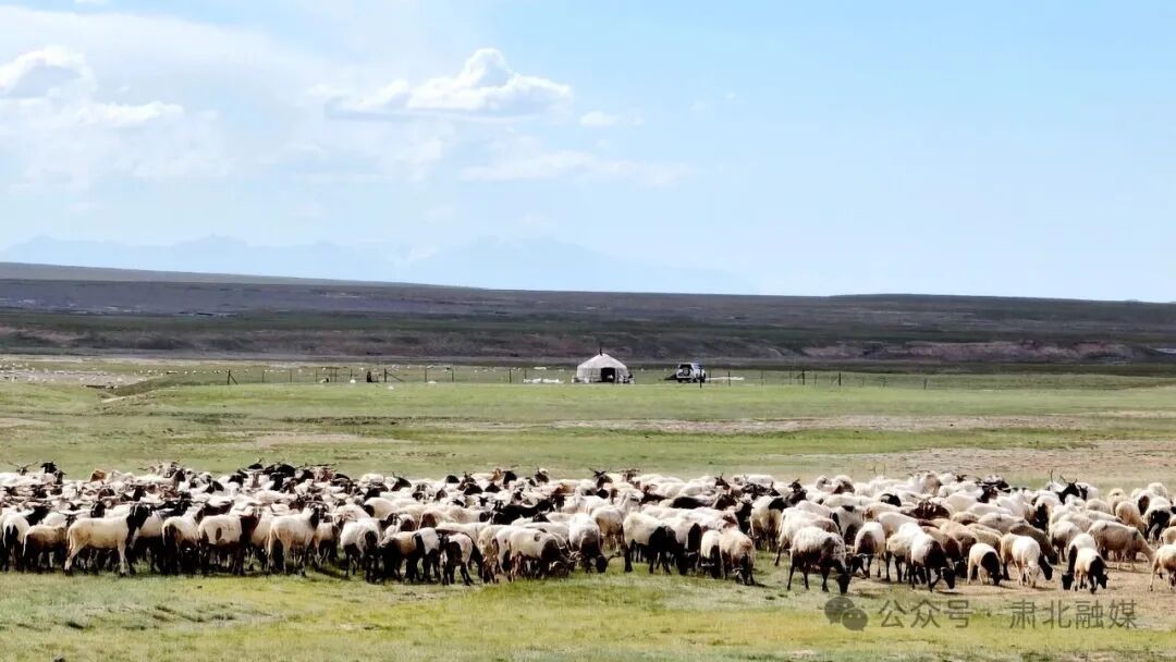 1760347718071059571.jpeg 8a0f5f97a8494e0b948b06094697aba1.jpeg