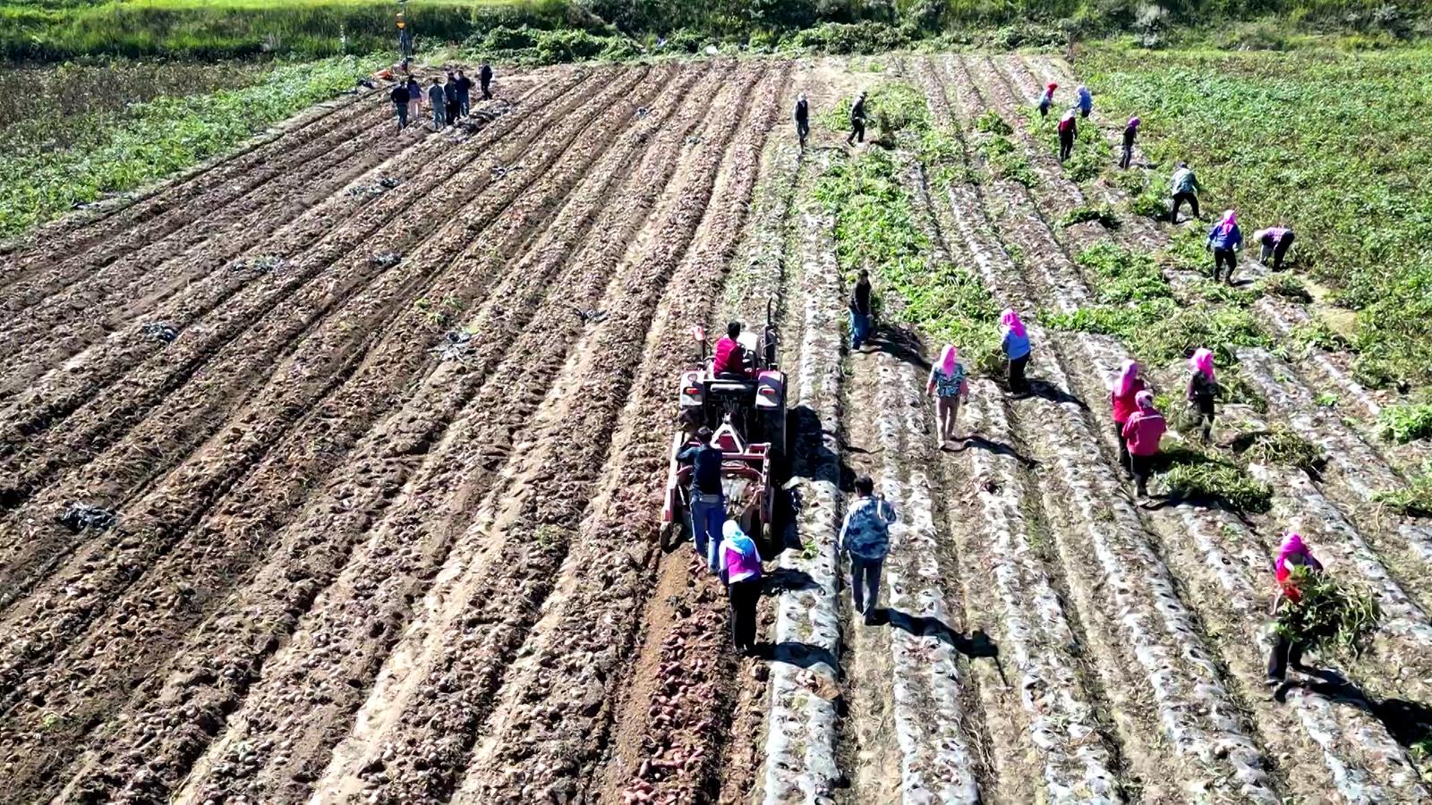 1760517882339049671.jpg 1760494352862037350.jpg