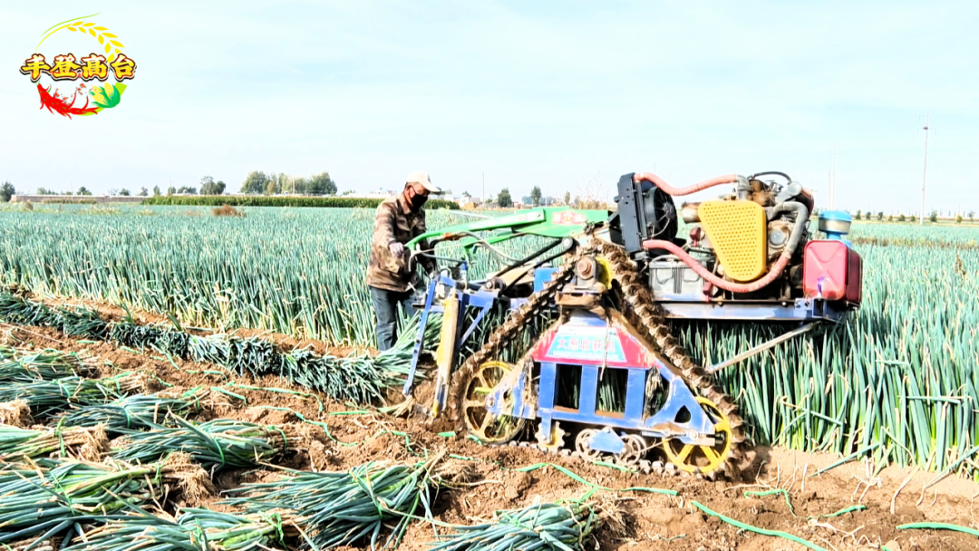 1760518155085009592.png 1760490130543069644.png