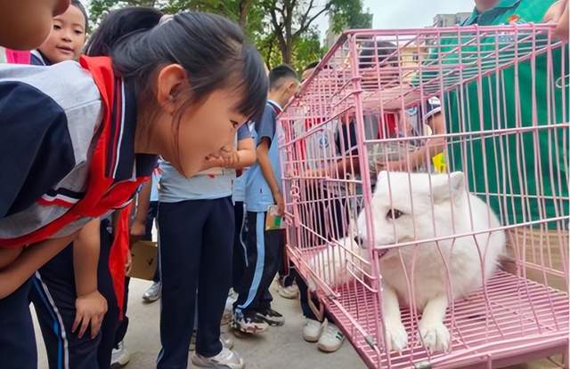 1760518406198048288.jpg 1760510588886080073.jpg