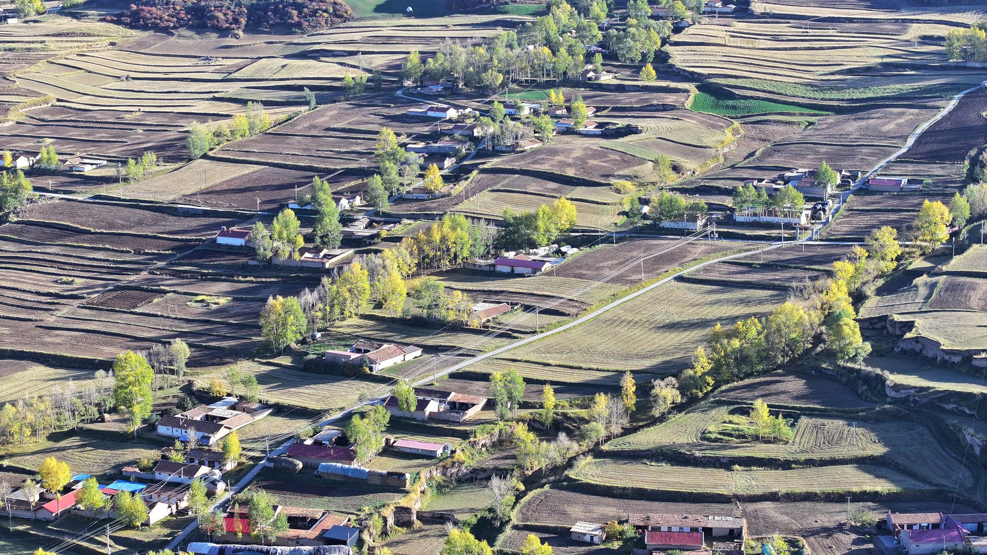 1760519907181025122.jpg c236457f-1cf5-4110-bd03-a95d4d1c52a1_副本.jpg