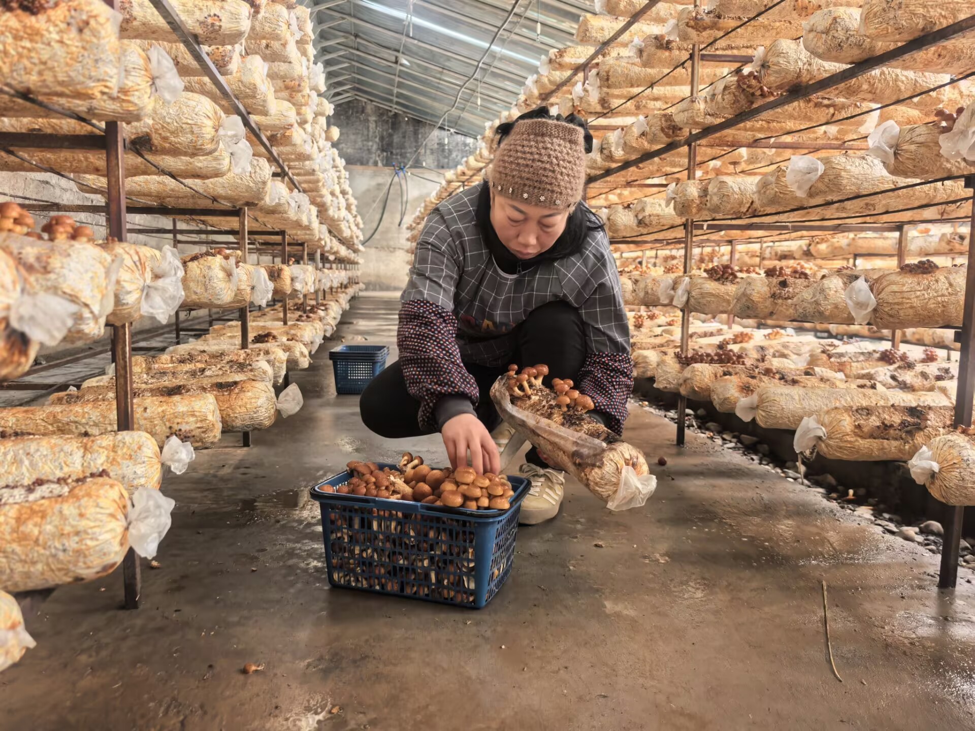 1760949845929015897.jpg 0633473433f64a758fee3d73a7bc8698.jpg