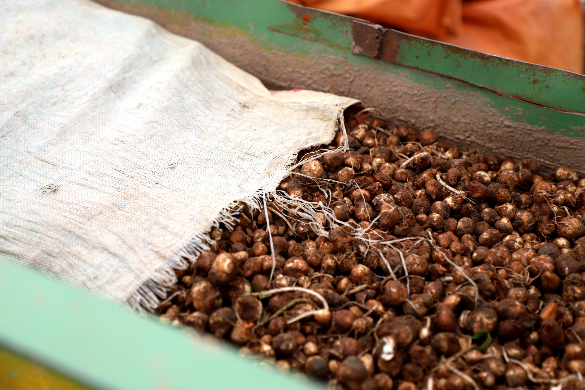 DJI_20250915102417_0012_D_副本