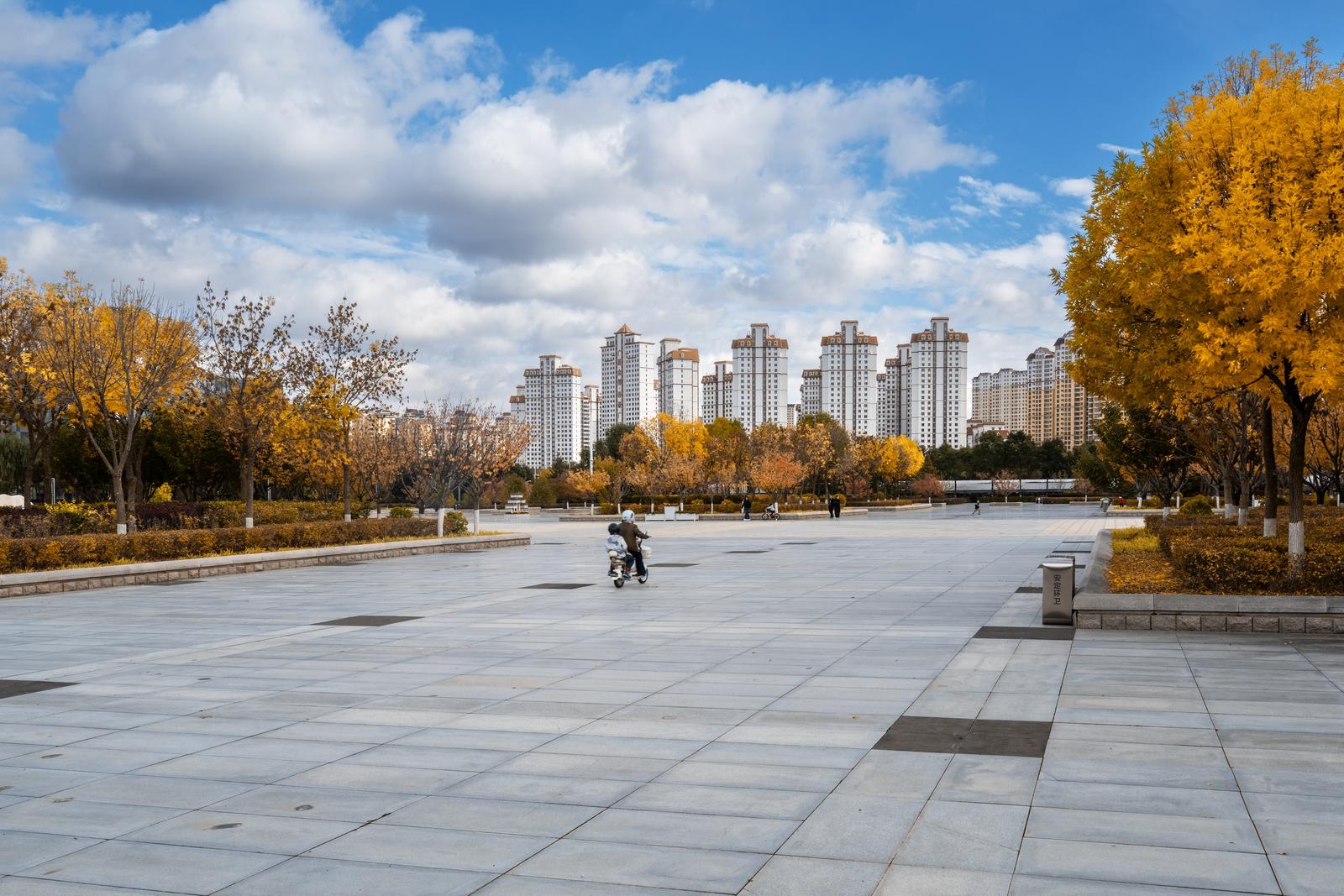 1761123568441085130.jpg 1761102277653099872.jpg