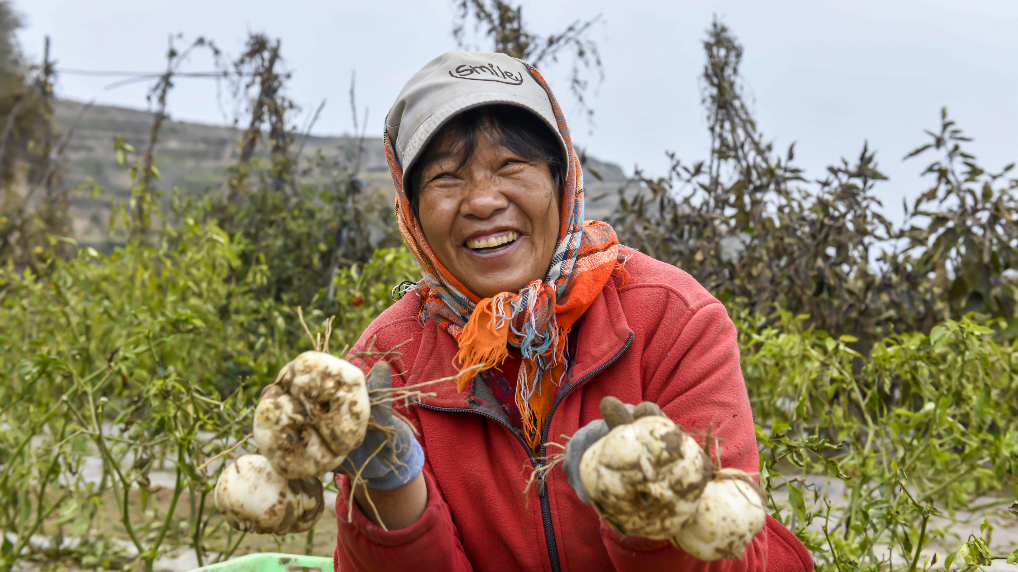 1761205486269024799.jpg _RMT3025.jpg