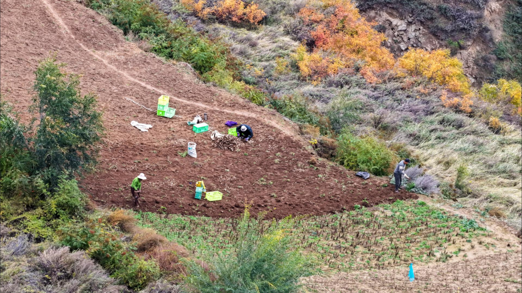 1761205805540075207.png image.png