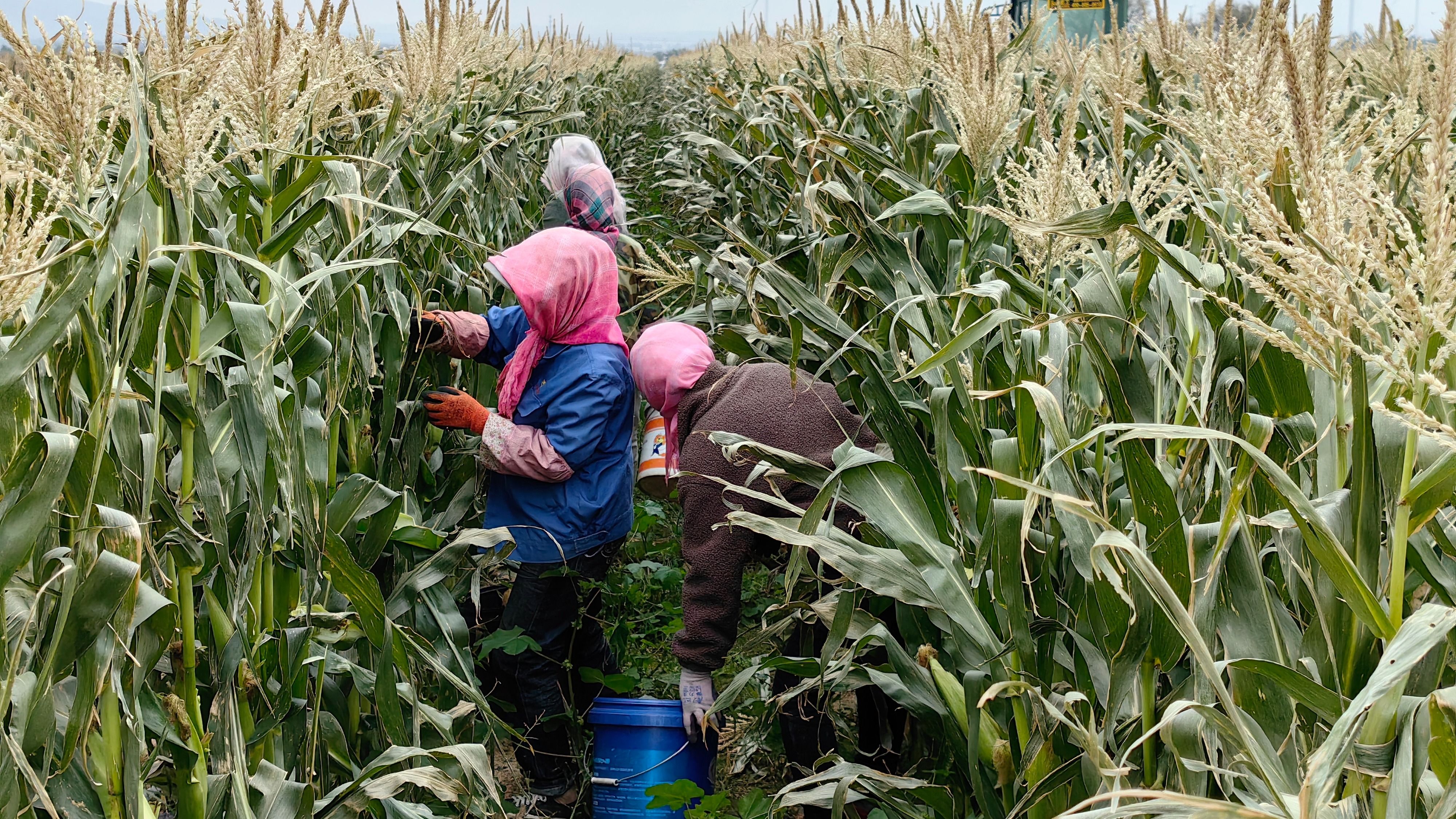 (23)微信图片_20251022090135_656_3 (23)微信图片_20251022090135_656_3