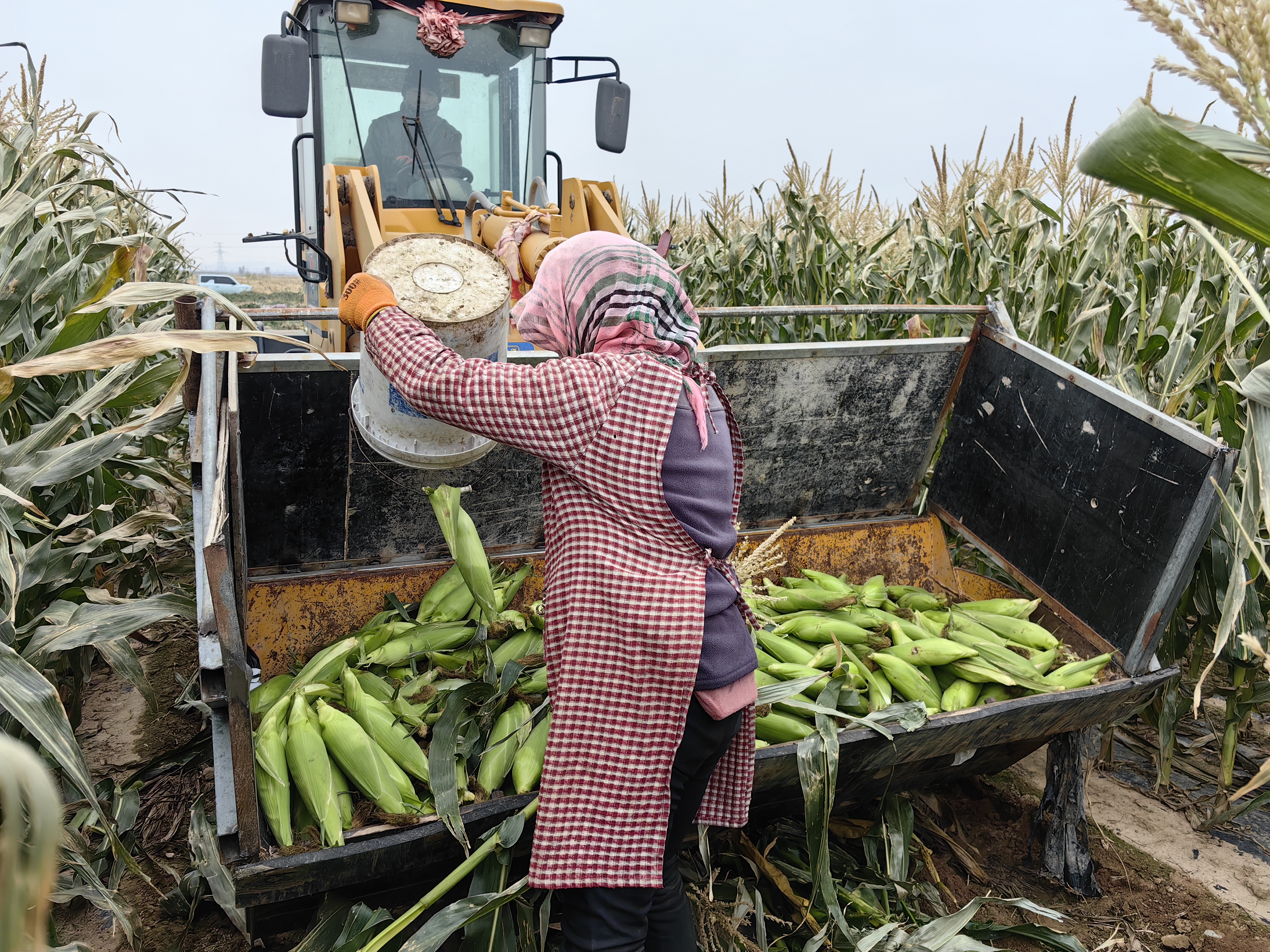 (21)微信图片_20251022090121_651_3