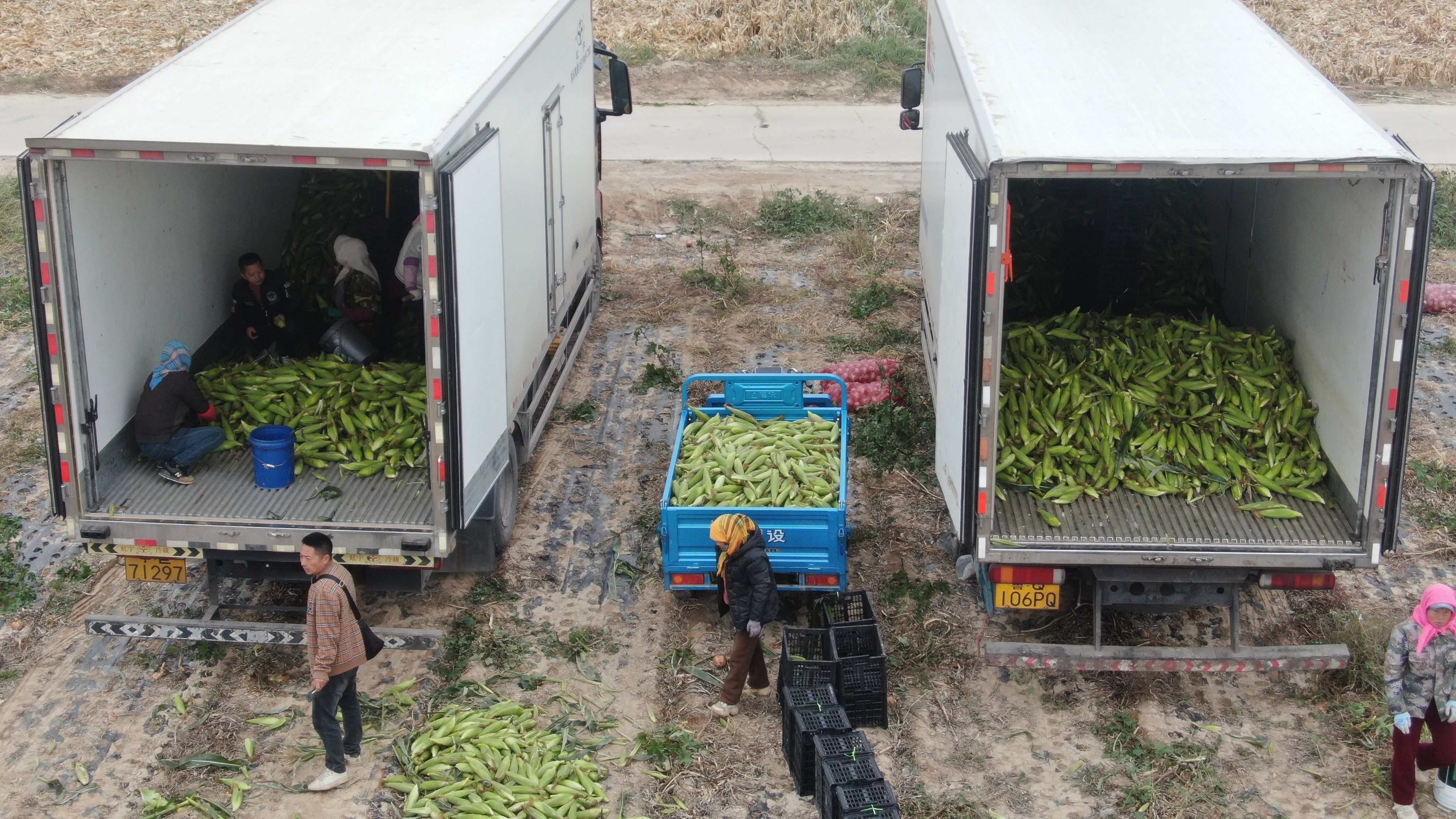 (22)DJI_0763 (22)DJI_0763