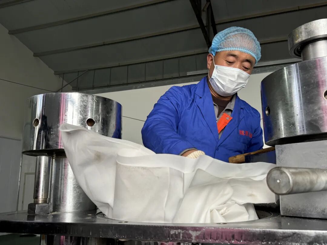 1761294825632020565.jpeg 1761189247265055325.jpeg