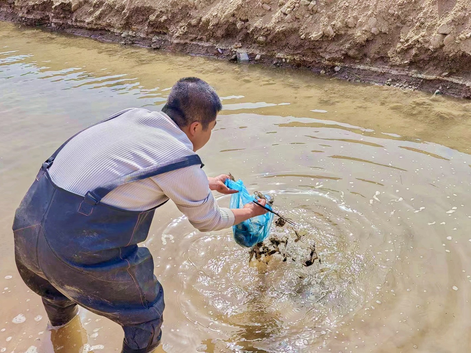 1761295129263014514.jpg 1761182966976055095_副本.jpg