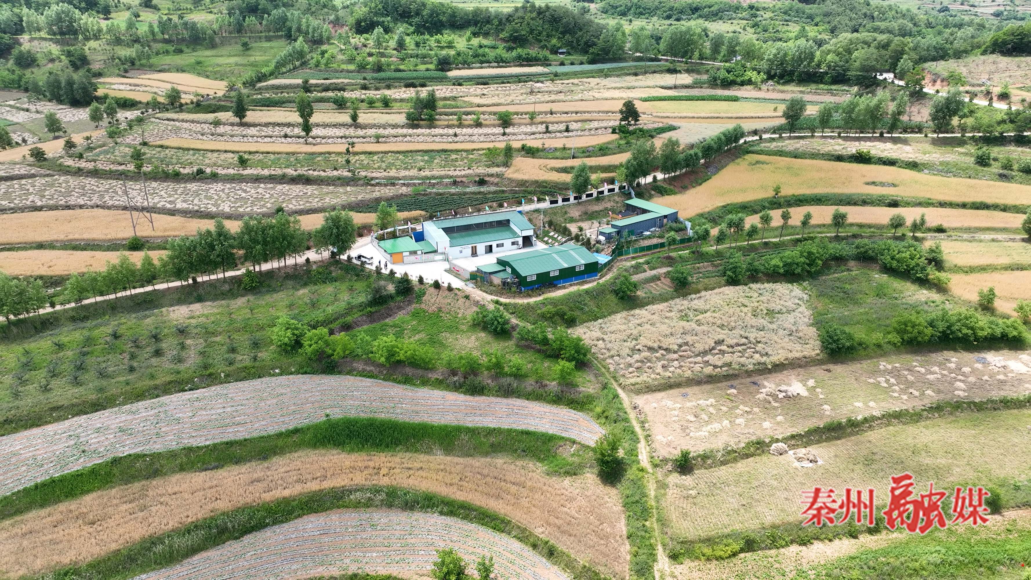 微信图片_20251024170021_52_318