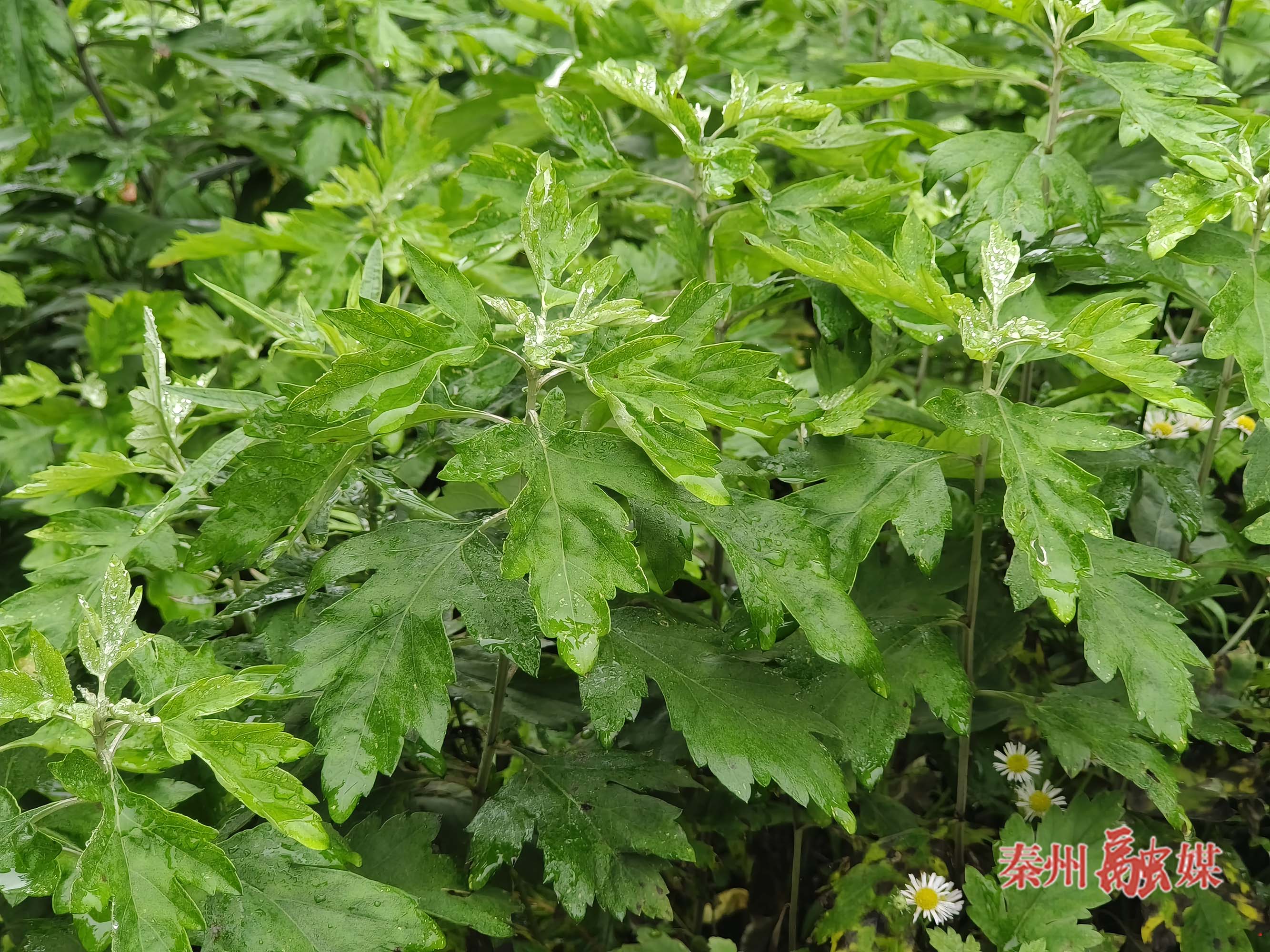 微信图片_20251024165942_47_318