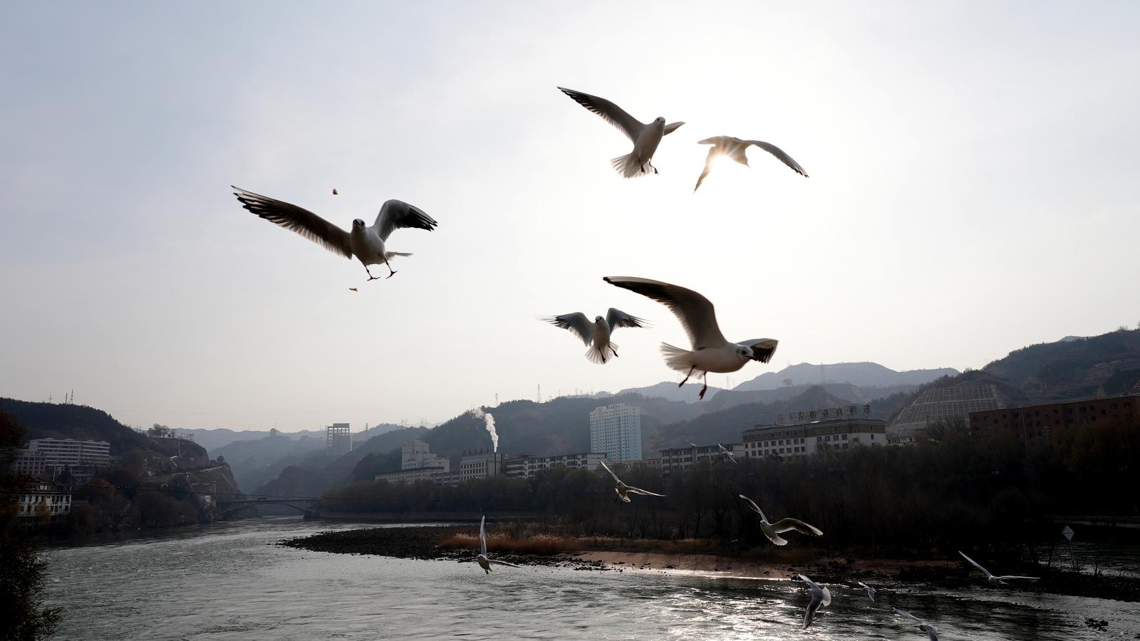 1761555492896099690.jpg 1761531619456047572.jpg