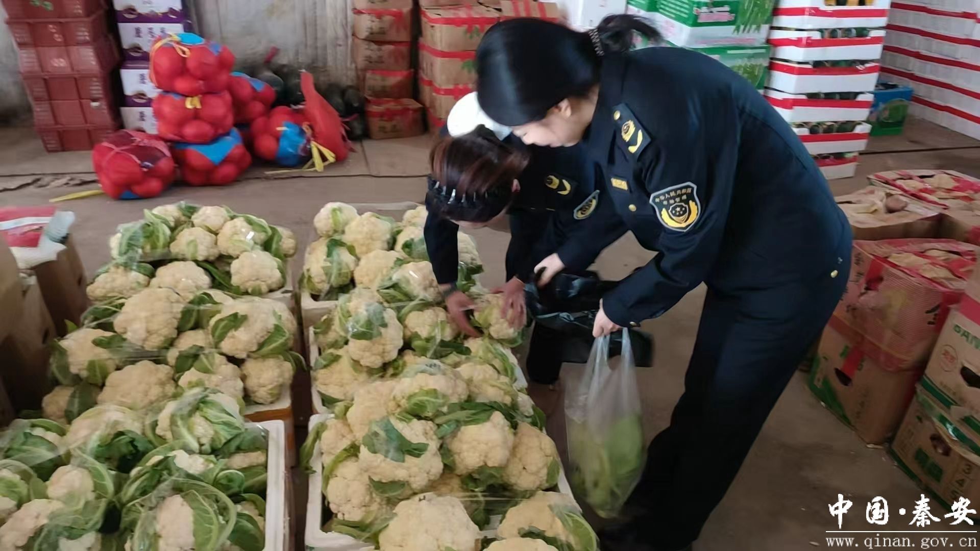 1761556207161084216.jpg 1761549477708033356.jpg