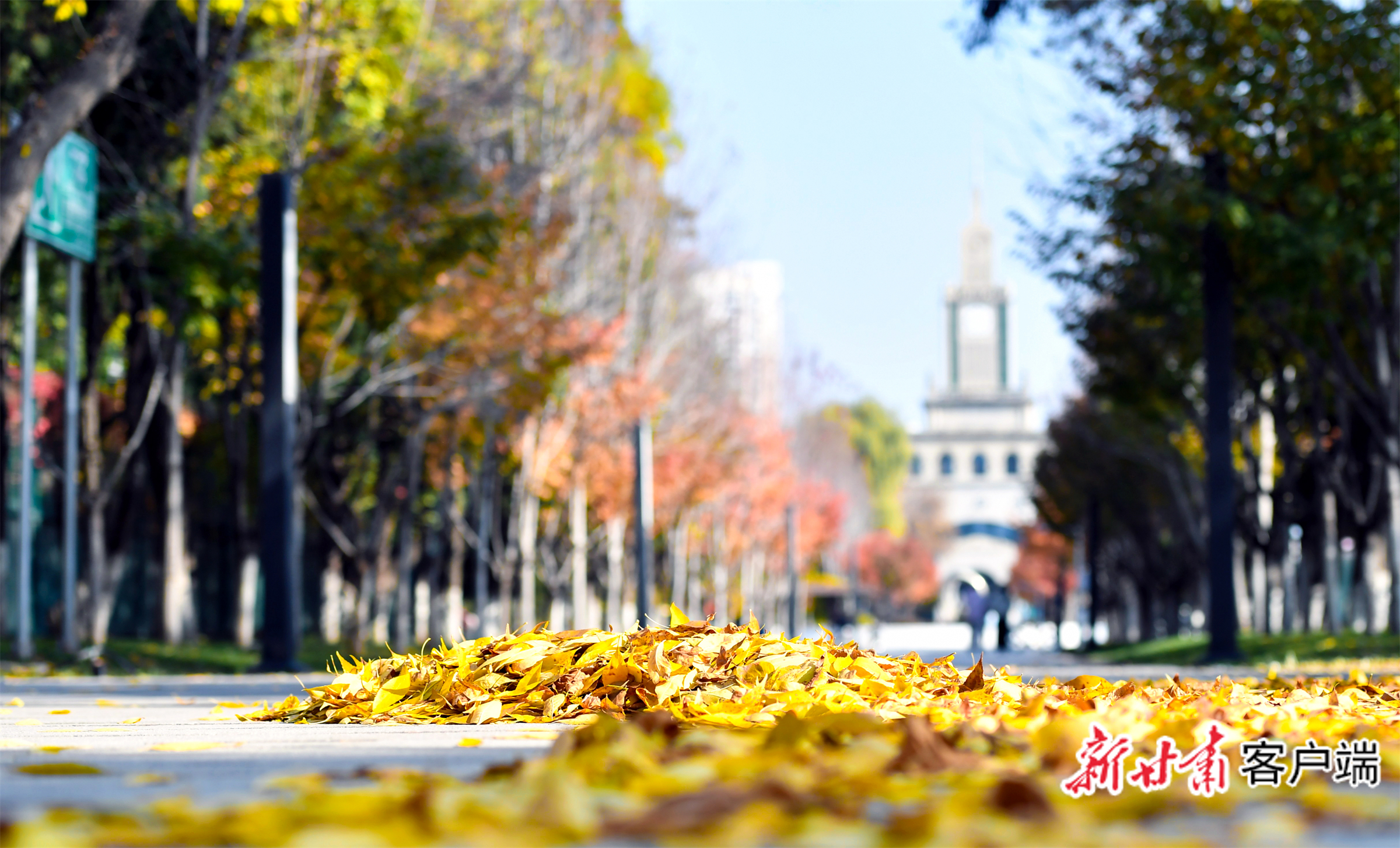 FZ007244556551_A5398352