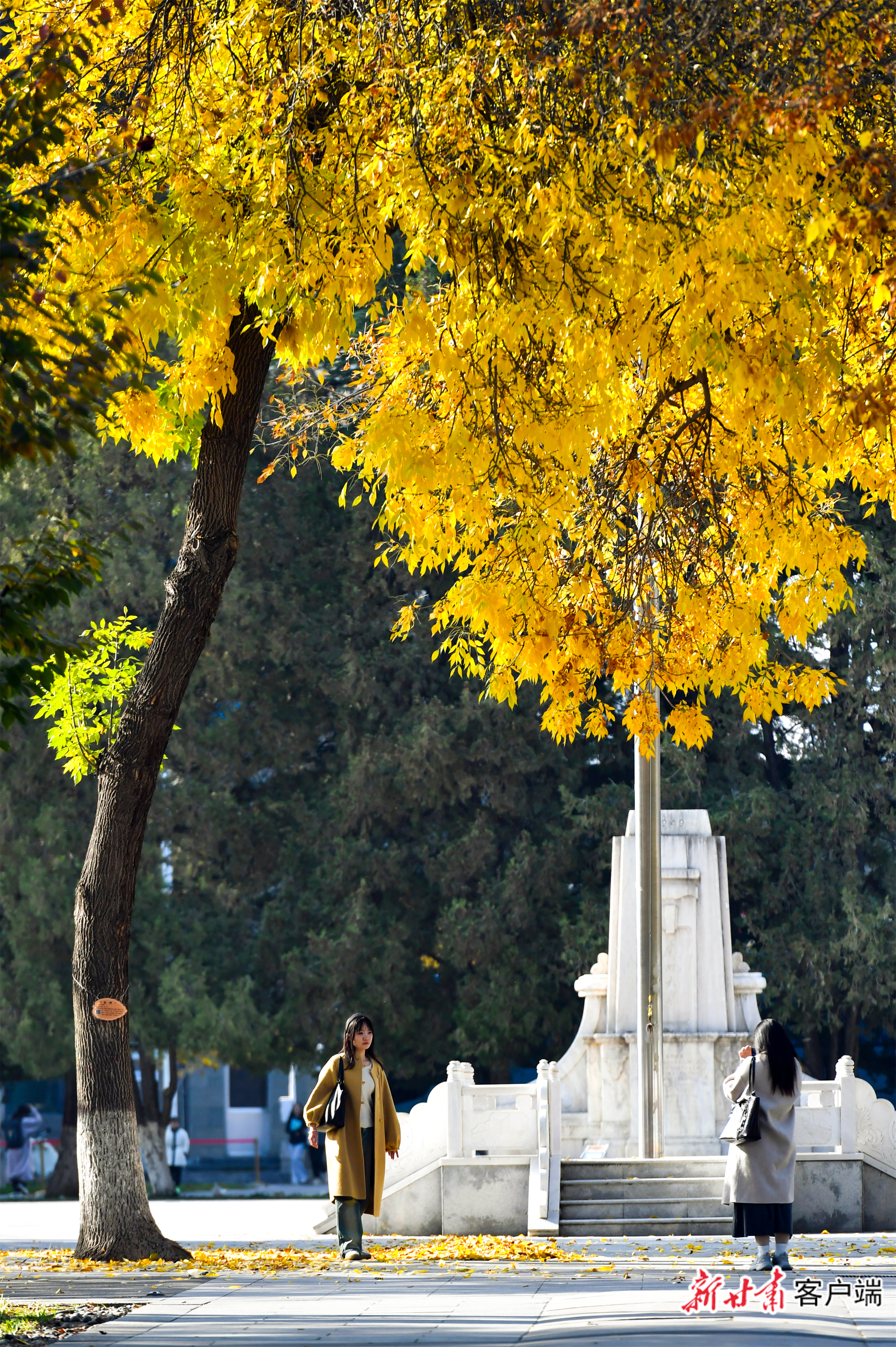 FZ007244556551_A5398355