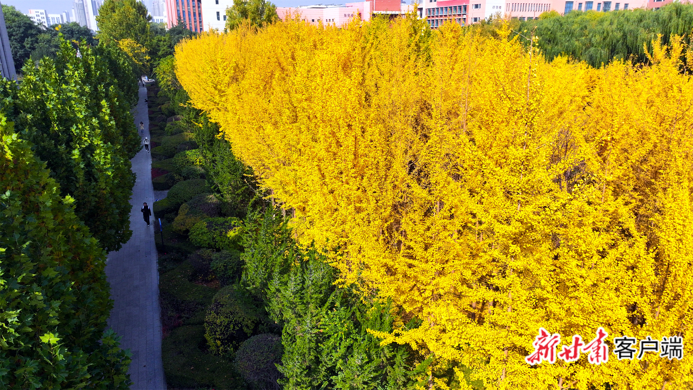 FZ007244556551_A5398358