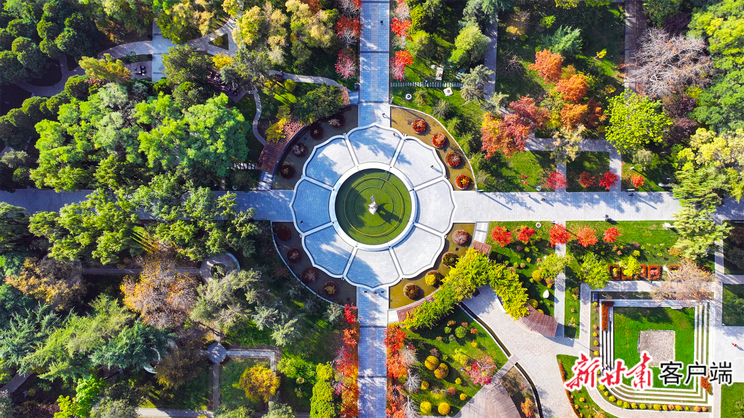 FZ007244556551_A5398357