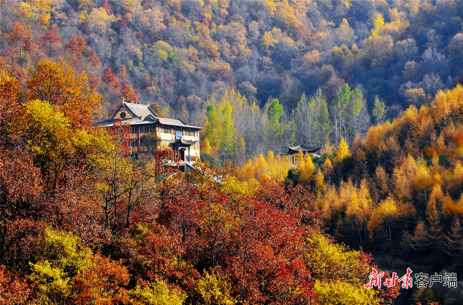 FZ007244635518_A5400275