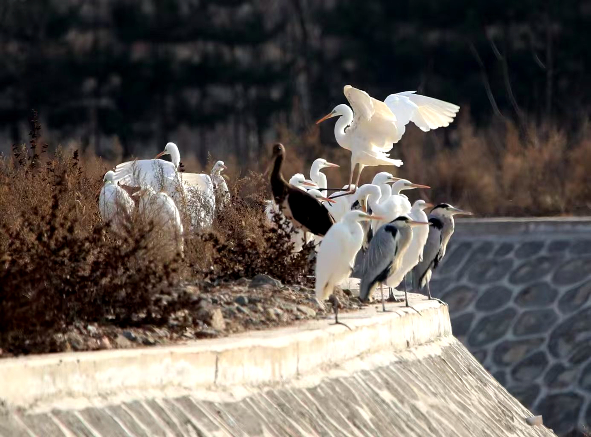 微信图片_20251106082839_5_12_副本