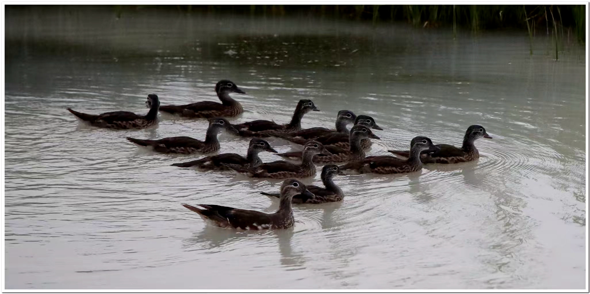 微信图片_20251106082846_6_12_副本