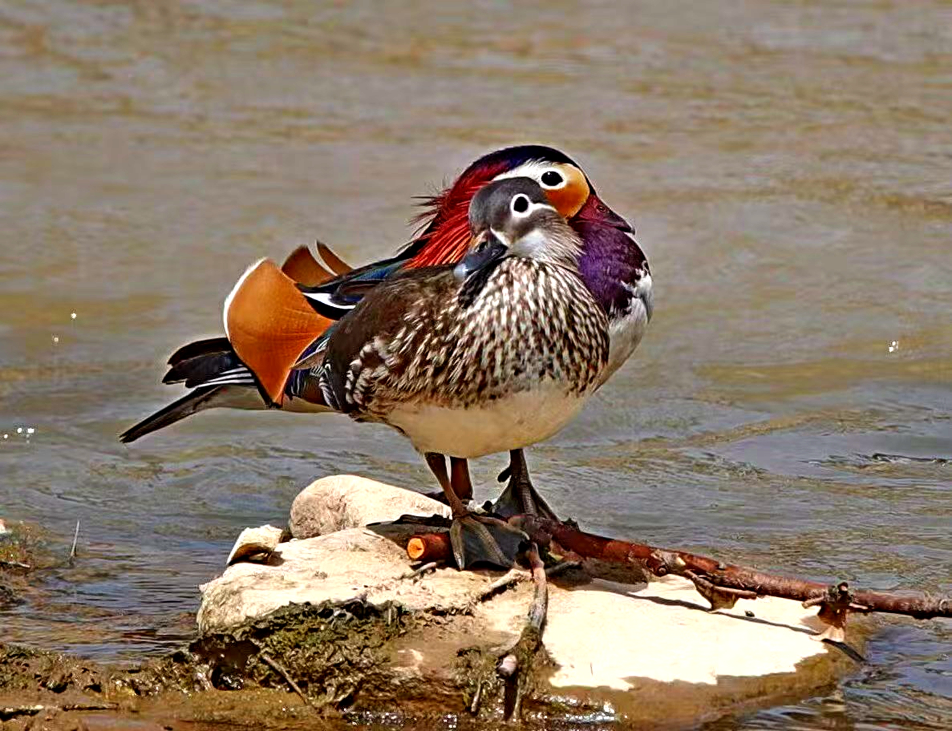 微信图片_20251106082822_3_12_副本