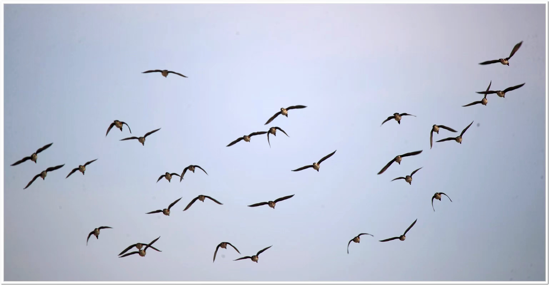 微信图片_20251106082853_7_12_副本