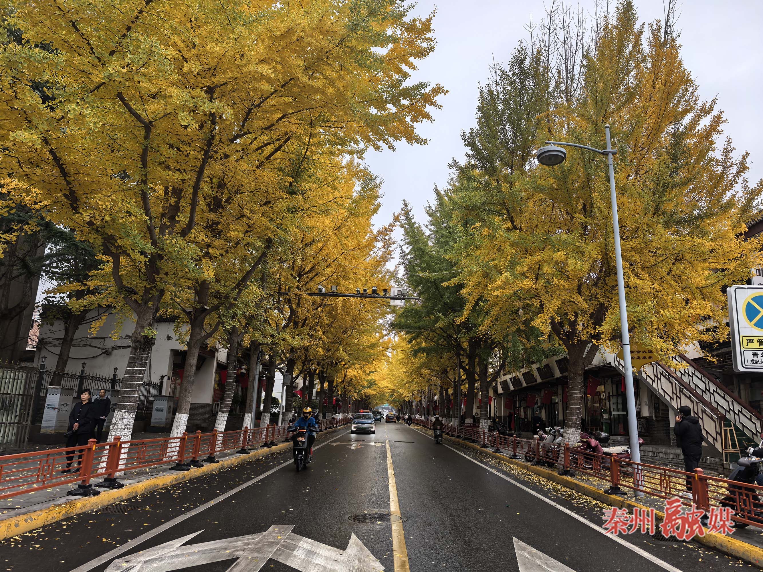 微信图片_20251106175637_136_231